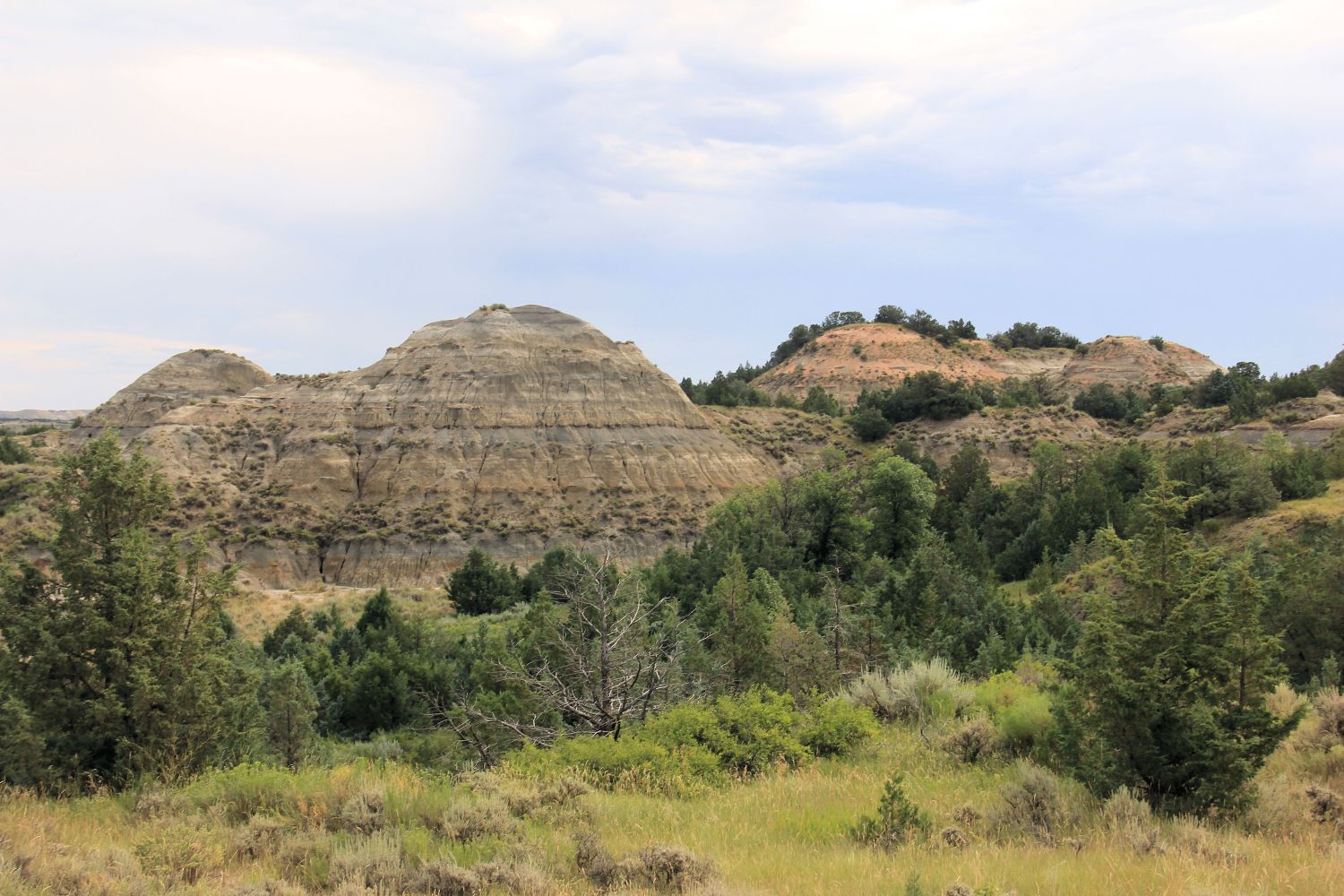 Painted Canyon 